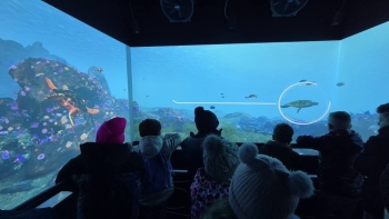 601006694_1436548167988349_3573202891280547451_n