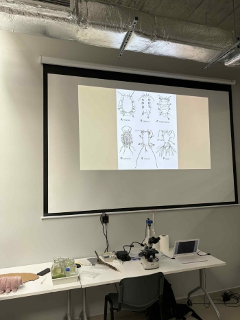 599491004_1438030617840104_7795786648289595285_n