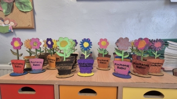 619833176_1465686431741189_3515655528458196248_n