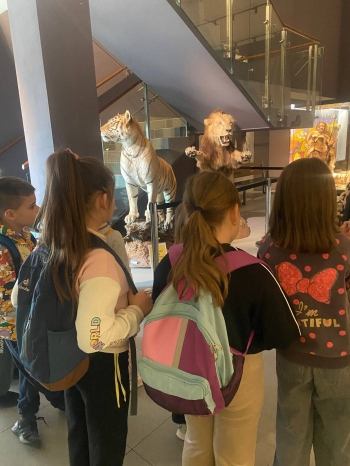 653700699_1511555223820976_5279625544307301411_n