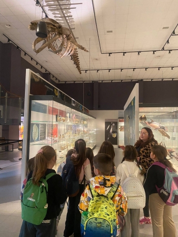 653710728_1511555180487647_4079479803415361029_n