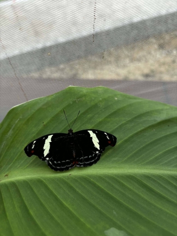 655728870_1517818273194671_7395499508505890559_n