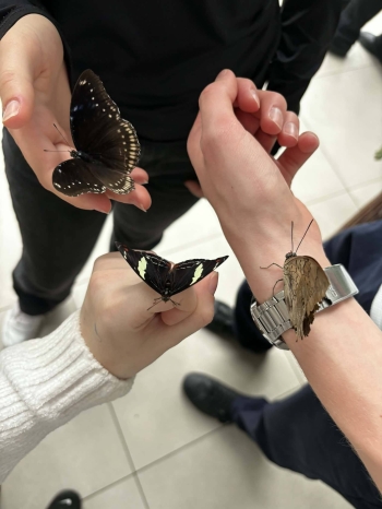 657307622_1517818213194677_5419629553443635201_n