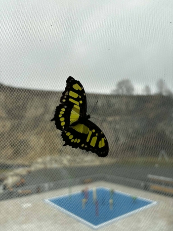 657455515_1517818333194665_427263660828337658_n