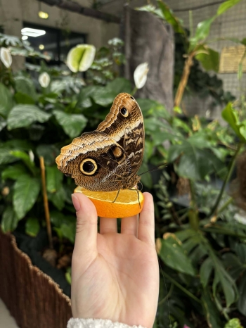 659792917_1517818059861359_1565105962608293292_n